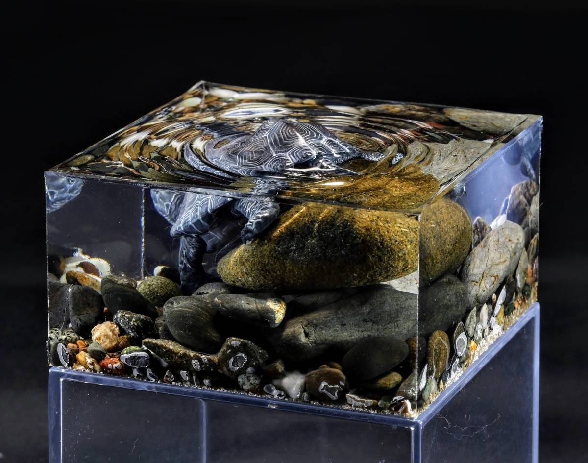 水辺の情景ジオラマ/クサガメ 制作:にご Diorama of waterside scenery