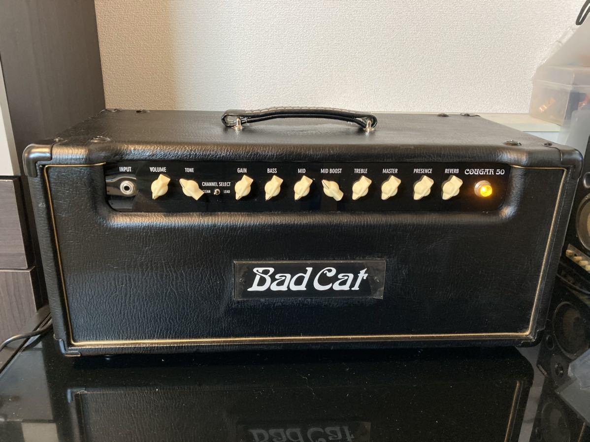 Bad Cat Couger50 真空管アンプ Bad Cat Cougar 5 真空管ギターアンプ