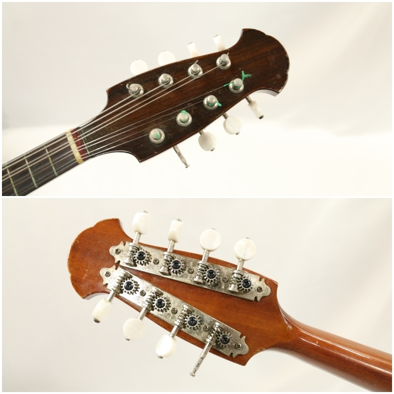 希少！藤丸常夫 tuneo fujimaru artist 国産 マンドリン