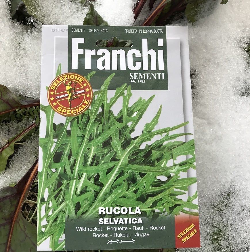 セルバチカ セルバチコ の種 100粒以上 Wild Rocket Selvatica Extra の落札情報詳細 ヤフオク落札価格情報 オークフリー スマートフォン版