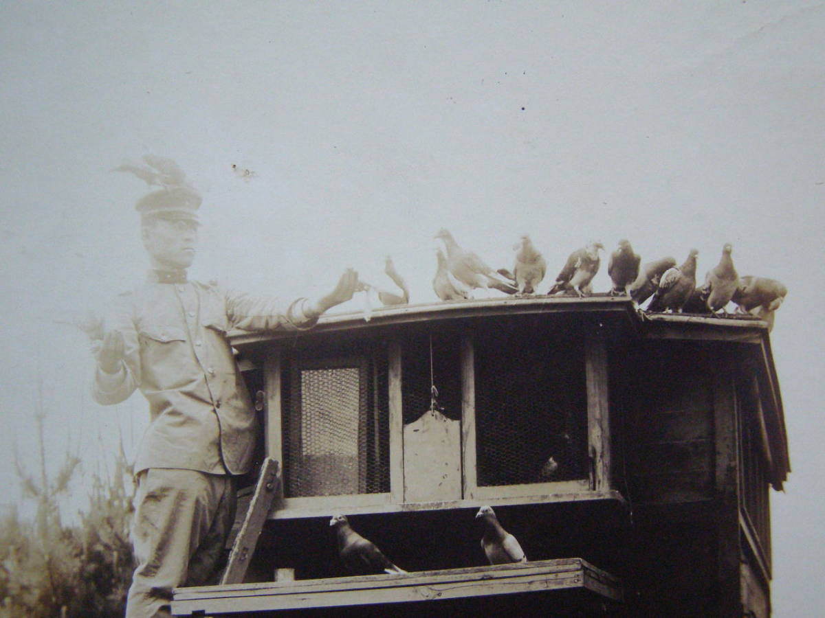 昭和 初期 鳩 ブックエンド