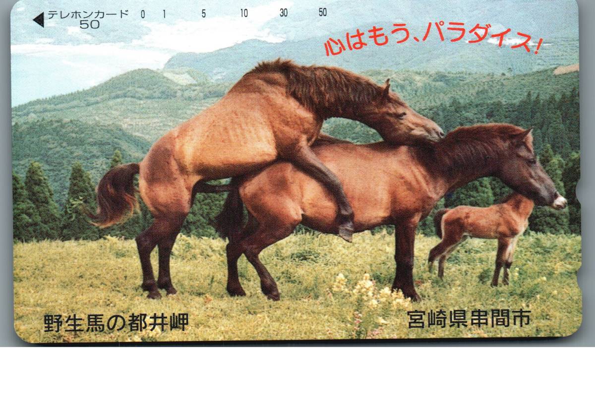新品 未使用品 野生馬の都井岬 宮崎県串間市 心はもう パラダイス 馬 交尾 テレホンカード テレカ の落札情報詳細 ヤフオク落札価格情報 オークフリー スマートフォン版
