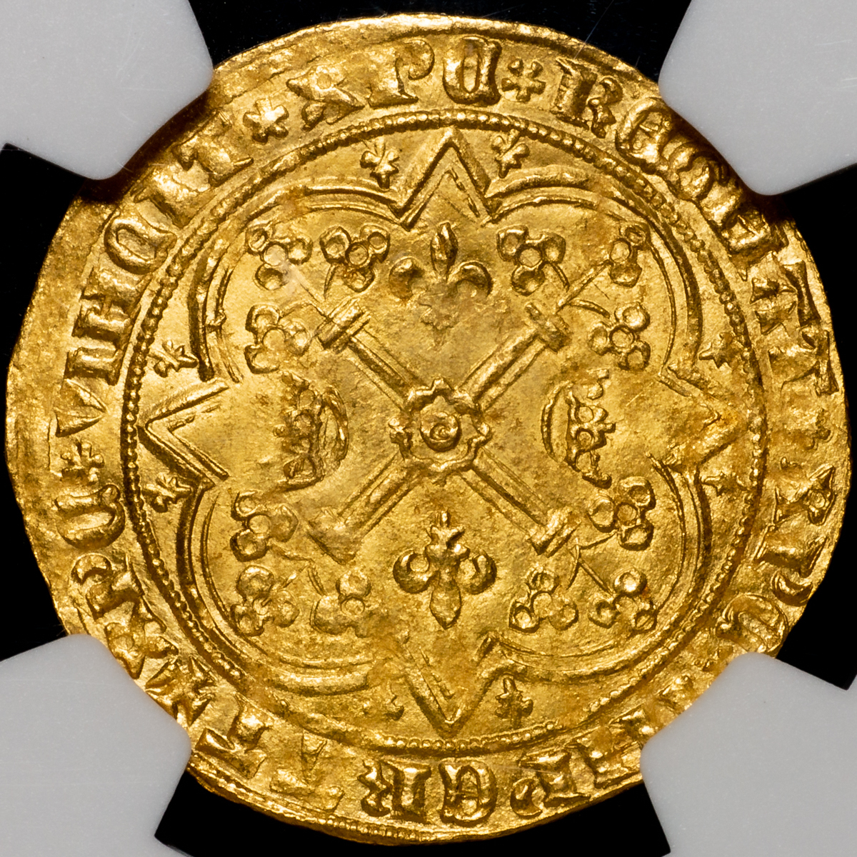 プラピカネ  巨万の富と大奇跡の神様 金塊のお宝 十二支パワーデザイン プラピカネ コイン 巨万の富と大奇跡の神様 “金塊のお宝ビッグコイン