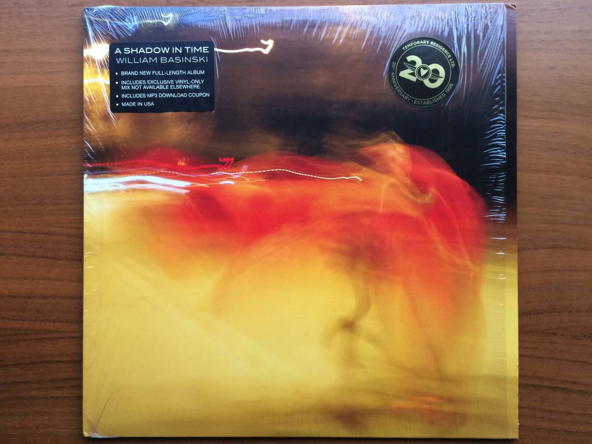 【目立った傷や汚れなし】美品 William Basinski A SHADOW IN TIME LP elegy for David
