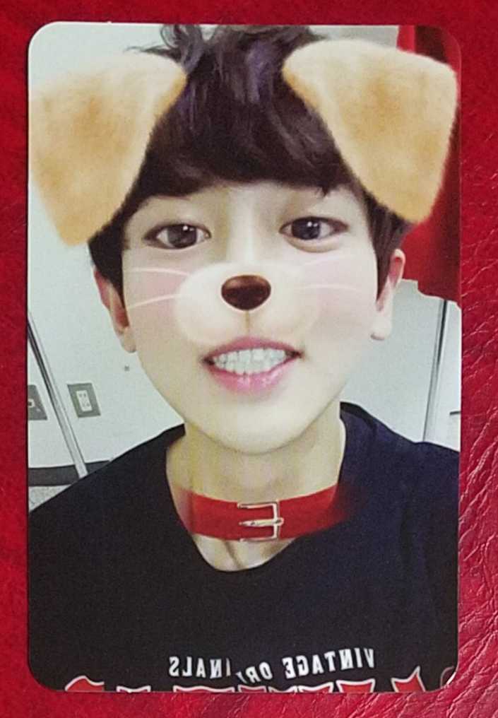 EXO チャニョル トレカ what a life スマホケース EXO チャニョル