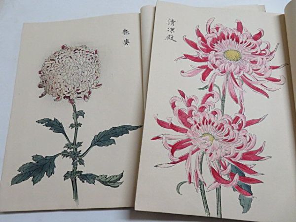 【傷や汚れあり】契花百菊 3冊揃い 長谷川契華 明治26年 山田直三郎 オリジナル版 和装本 多色刷り 木版画 浮世絵 植物 図案 ボタニカル ...