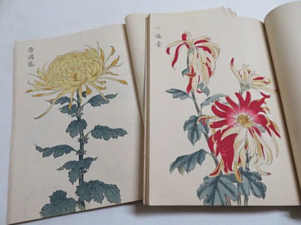 【傷や汚れあり】契花百菊 3冊揃い 長谷川契華 明治26年 山田直三郎 オリジナル版 和装本 多色刷り 木版画 浮世絵 植物 図案 ボタニカル ...