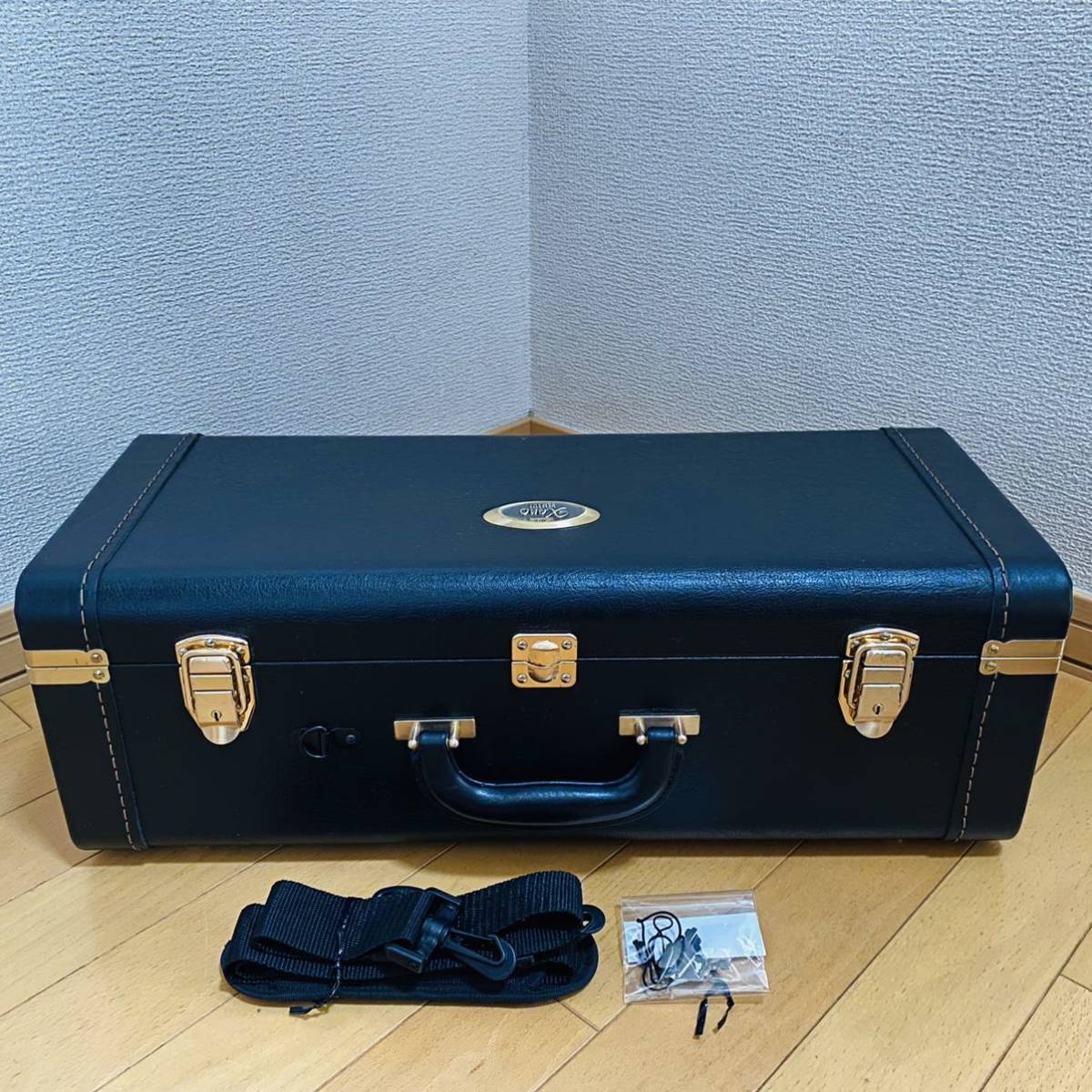 また値引き！イオ・ホルンHR1054GB フルダブルホルン、ハードケースと