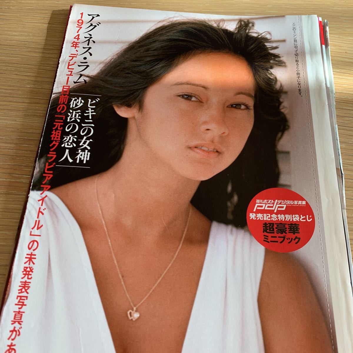 ◎希少◎アグネスラム◎切り抜き◎ ◎希少◎グラビア◎アグネスラム◎切り抜きクリアブック◎