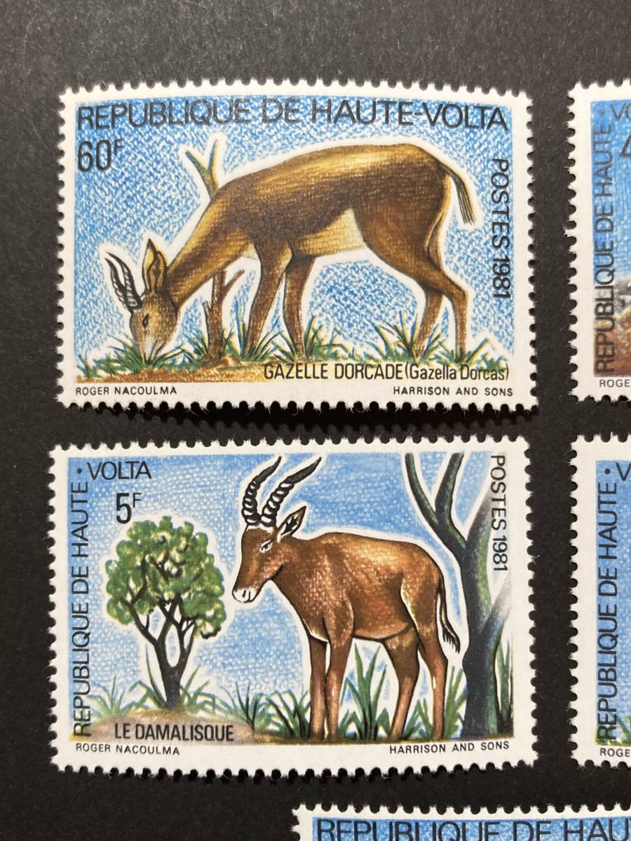 3252 外国切手 ポーランド 1972年 動物シリーズ 9種 未使用