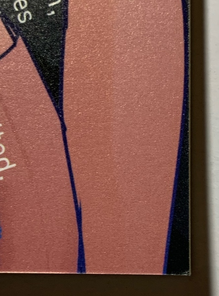 即決 同人誌 チェンソーマン ダイヤモンドの犬 OZ 魚谷あお 岸クァ