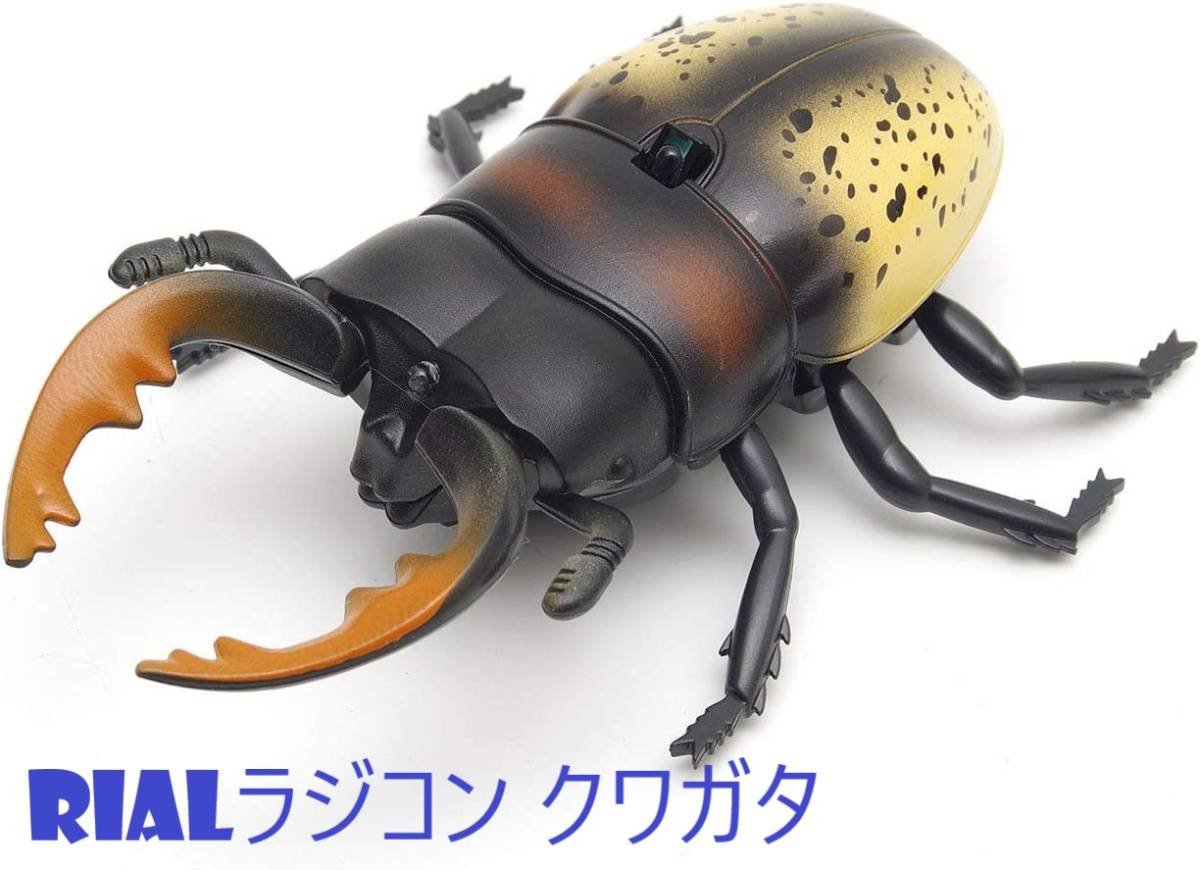 HID お手軽ライトトラップ クワガタ、蛾などに