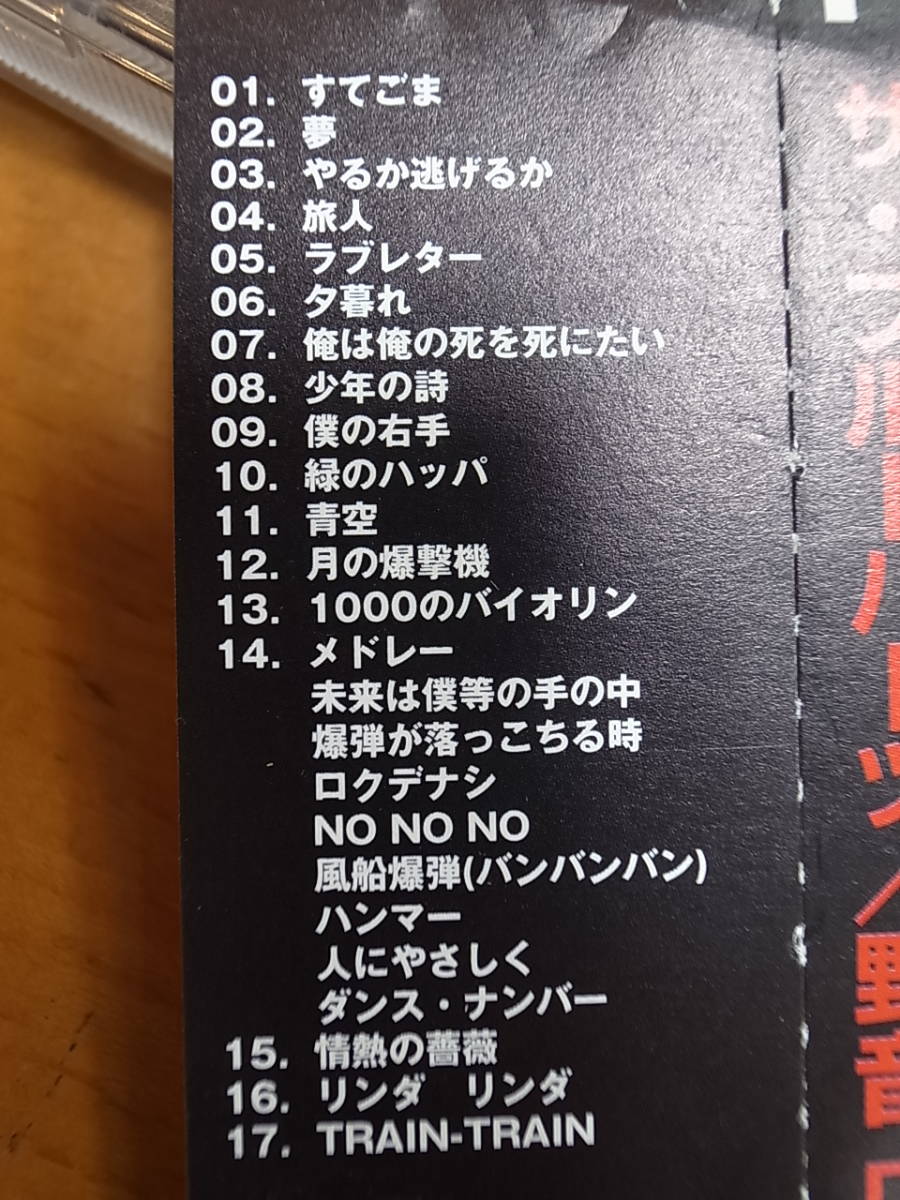 傷や汚れあり】ザ・ブルーハーツ野音Live on '94 6.18/19 THE BLUE