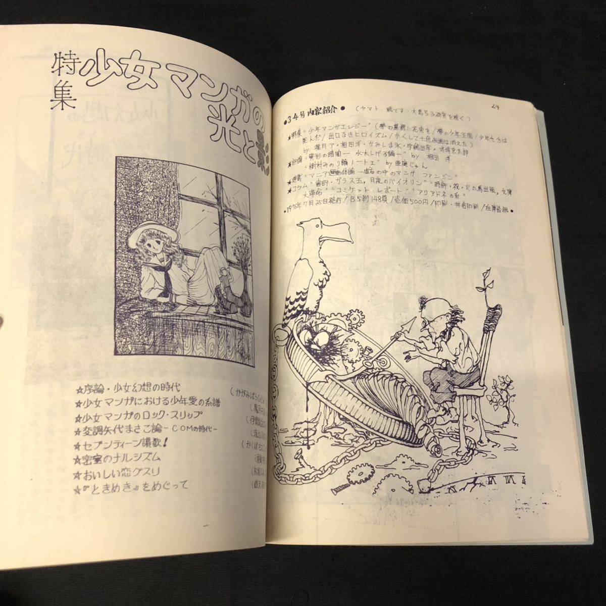 やや傷や汚れあり】S919 は□ COMIC CRITIQUE 漫画新批評大系 迷宮'77