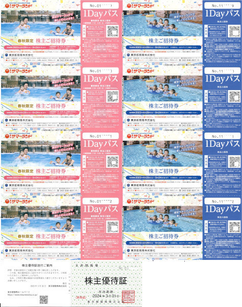 ③東京サマーランド 春秋限定 1Dayパス 4枚 見易い