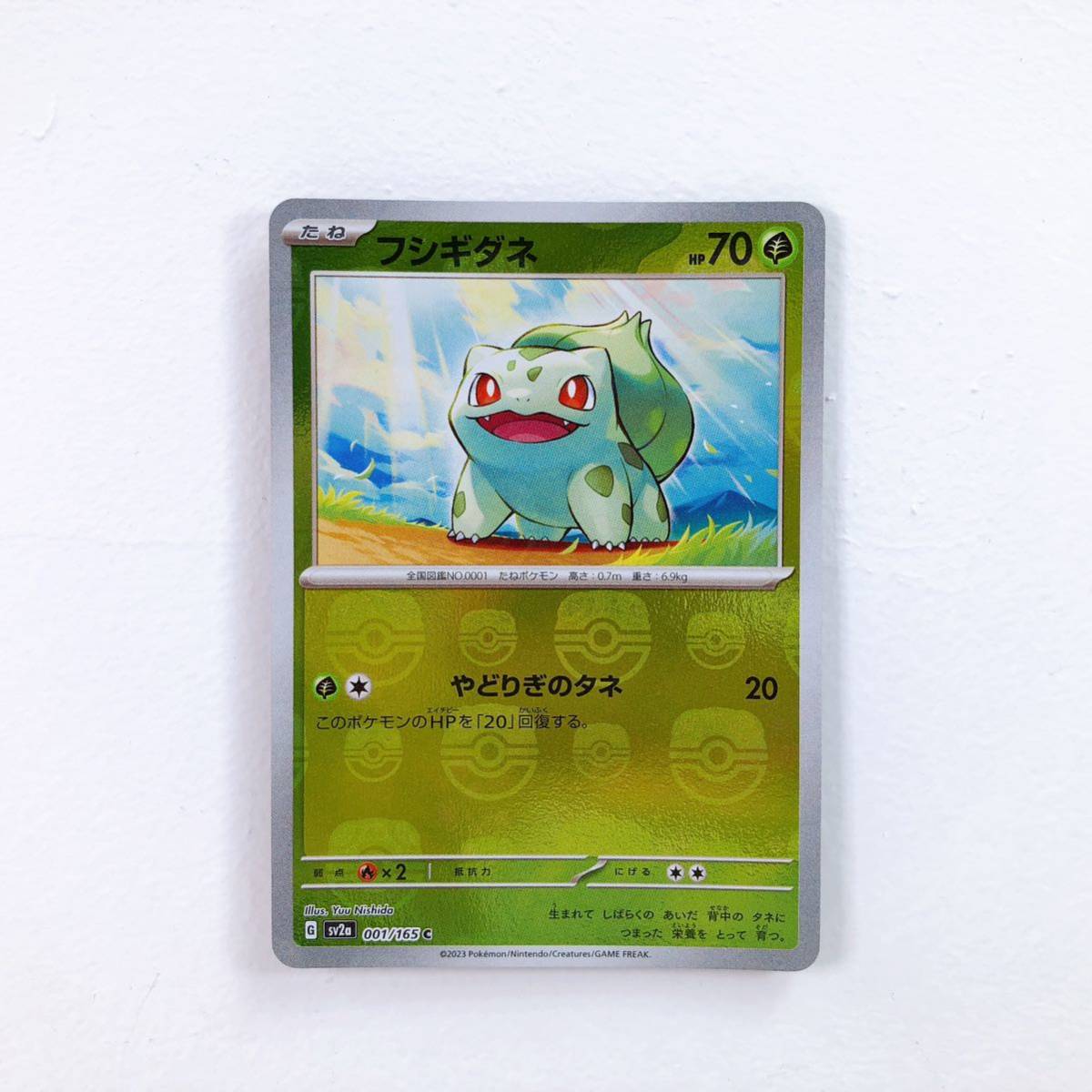 ゼニガメ顔 日本人】PSA10]ゼニガメ カードe マクドナルド プロモ #5696/48