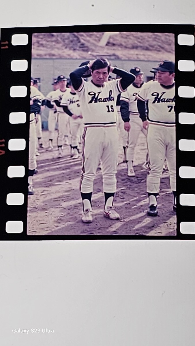 【ブローニーフィルム1コマ＋ポジフィルム3コマ】 野村克也(南海ホークス) 目立った傷や汚れなし】本物のポジフィルムです！ 野村克也監督、江夏