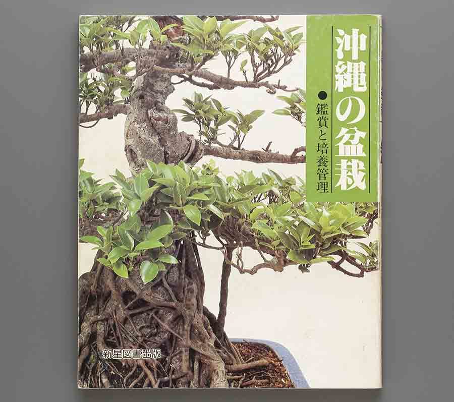 やや傷や汚れあり】沖縄の盆栽 1984年 新星図書出版(オキナワハイネズ