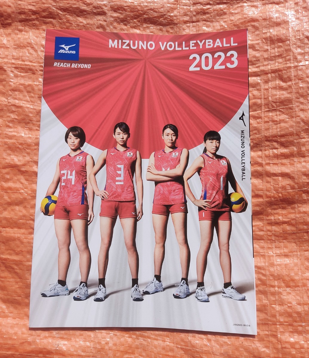 【未使用に近い】★ ミズノ バレーボールカタログ/2023年 MIZUNO VALLEYBALL ユニフォーム/シューズカタログ ★の落札