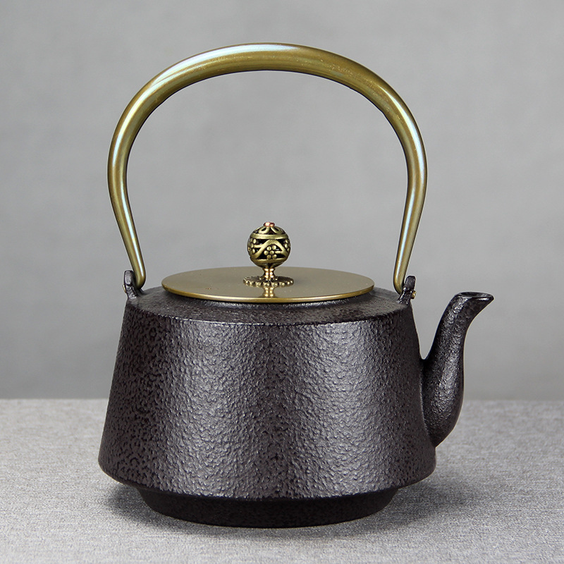 職人手作り 茶道具 急須 古風 鉄分補給 提梁壺 茶壺 水壷 煮茶壷E