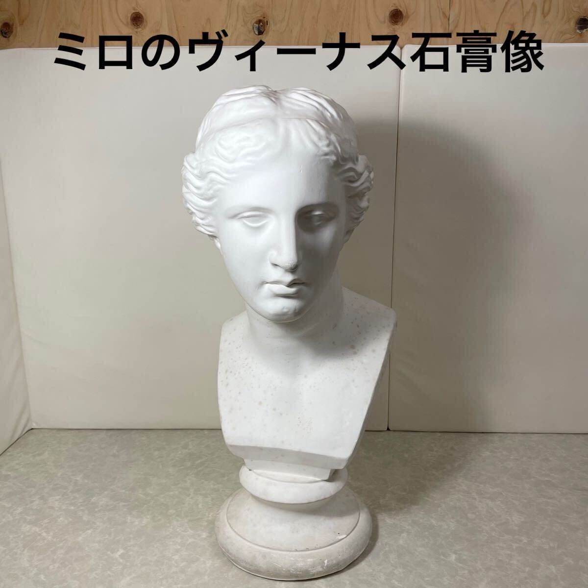 デッサン 石膏像 男性像 胸像 西洋像 彫刻 置物 オブジェ インテリア
