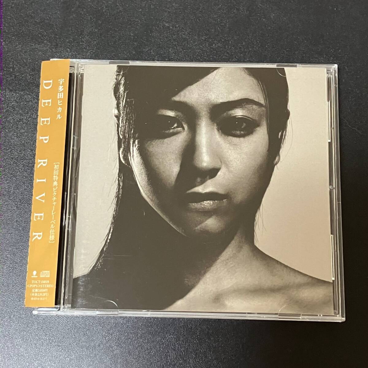 宇多田ヒカル 未使用品 フォトパネル DEEP RIVER 外箱付 非売品 【公式