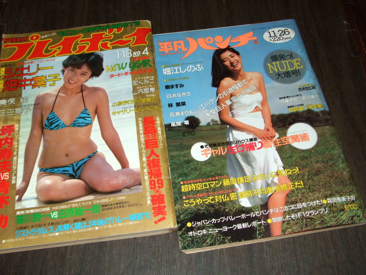 希少 週刊プレイボーイ 1985年/昭和60年 全52号51冊揃 希少 週刊プレイボーイ 1985年/昭和60年 全52号51冊揃
