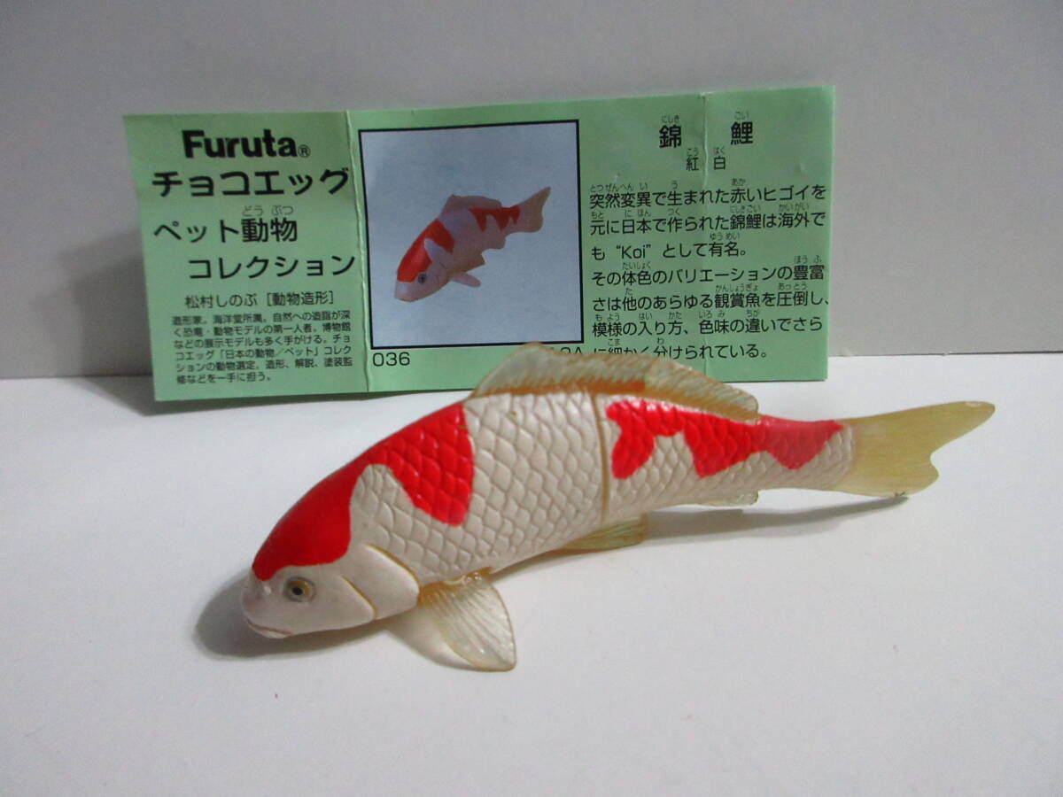 希少⭐︎海洋堂 マッコウクジラ フィギュア 黒 約65cm 原型制作:松村