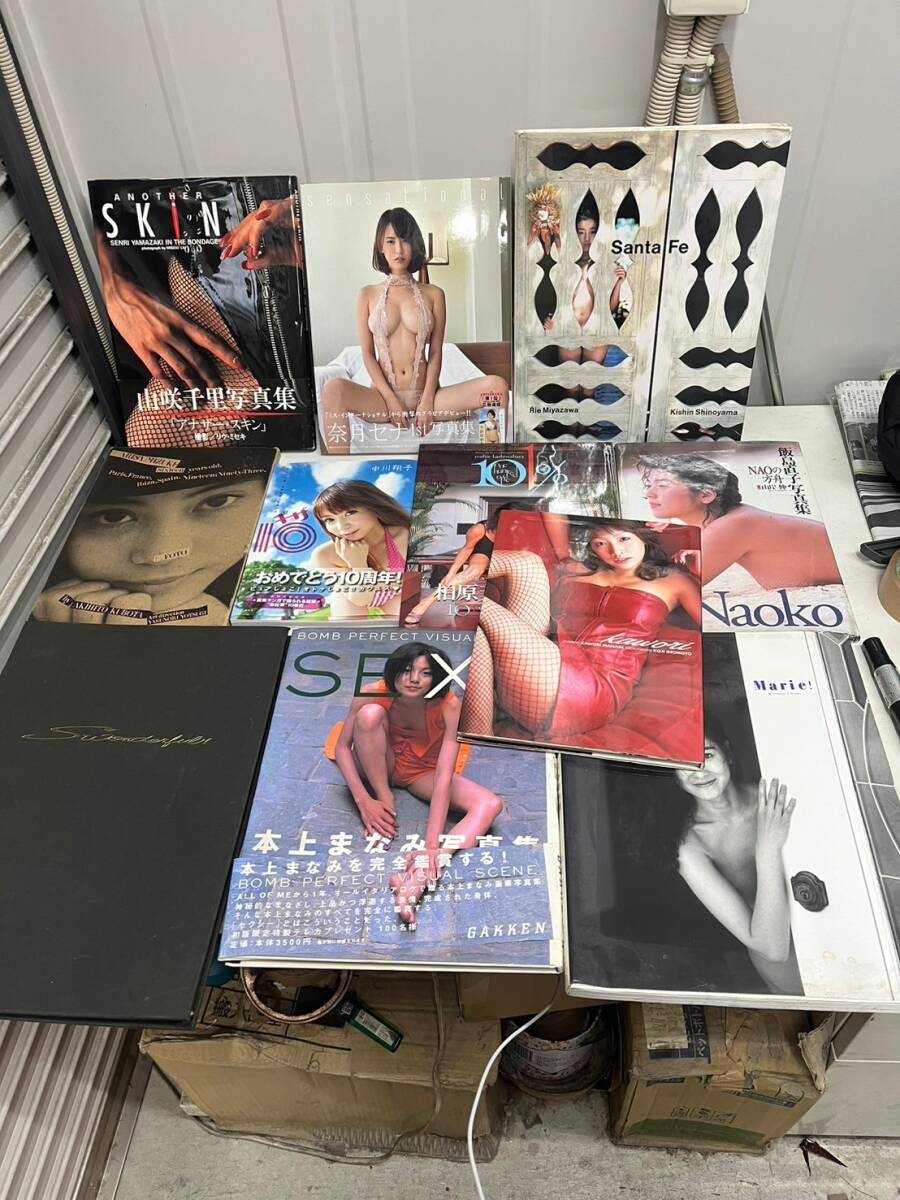 川村ひとみ　ヌード  