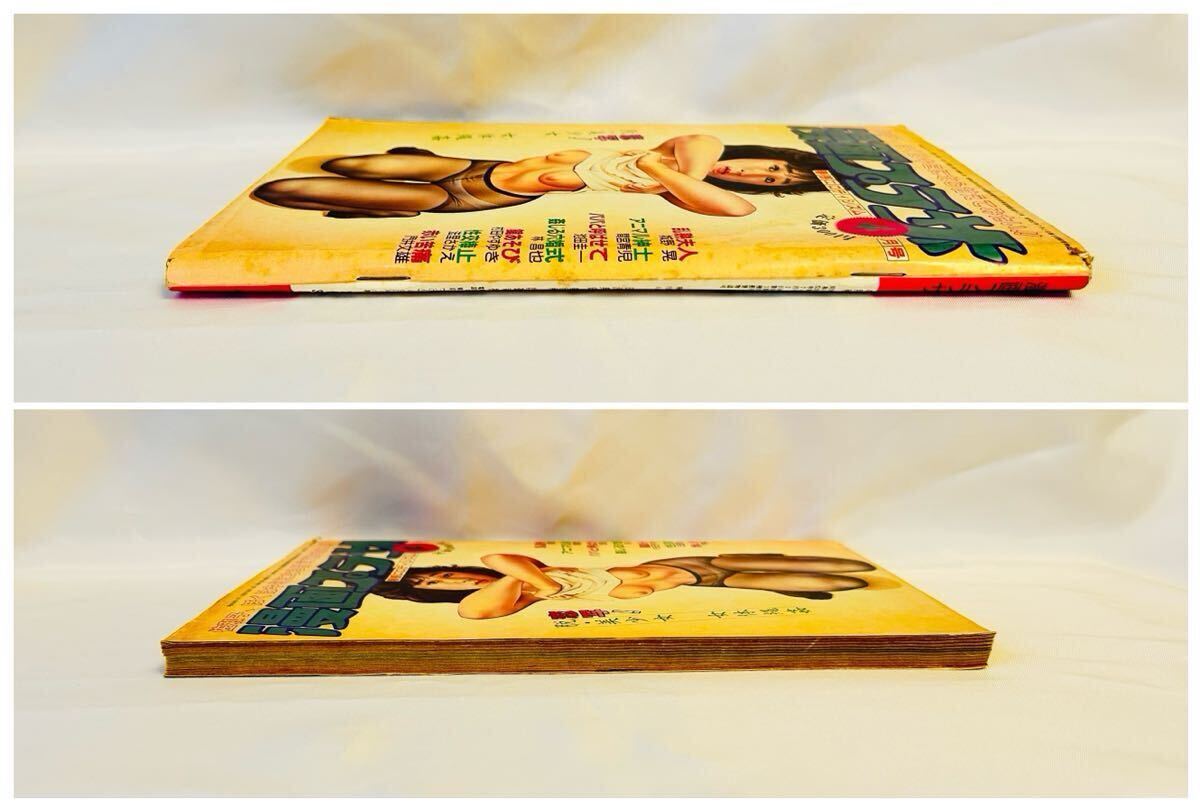 村田やすゆき　２冊セット 漫画プラザ 増刊 淫火夫人 村田やすゆき作品集