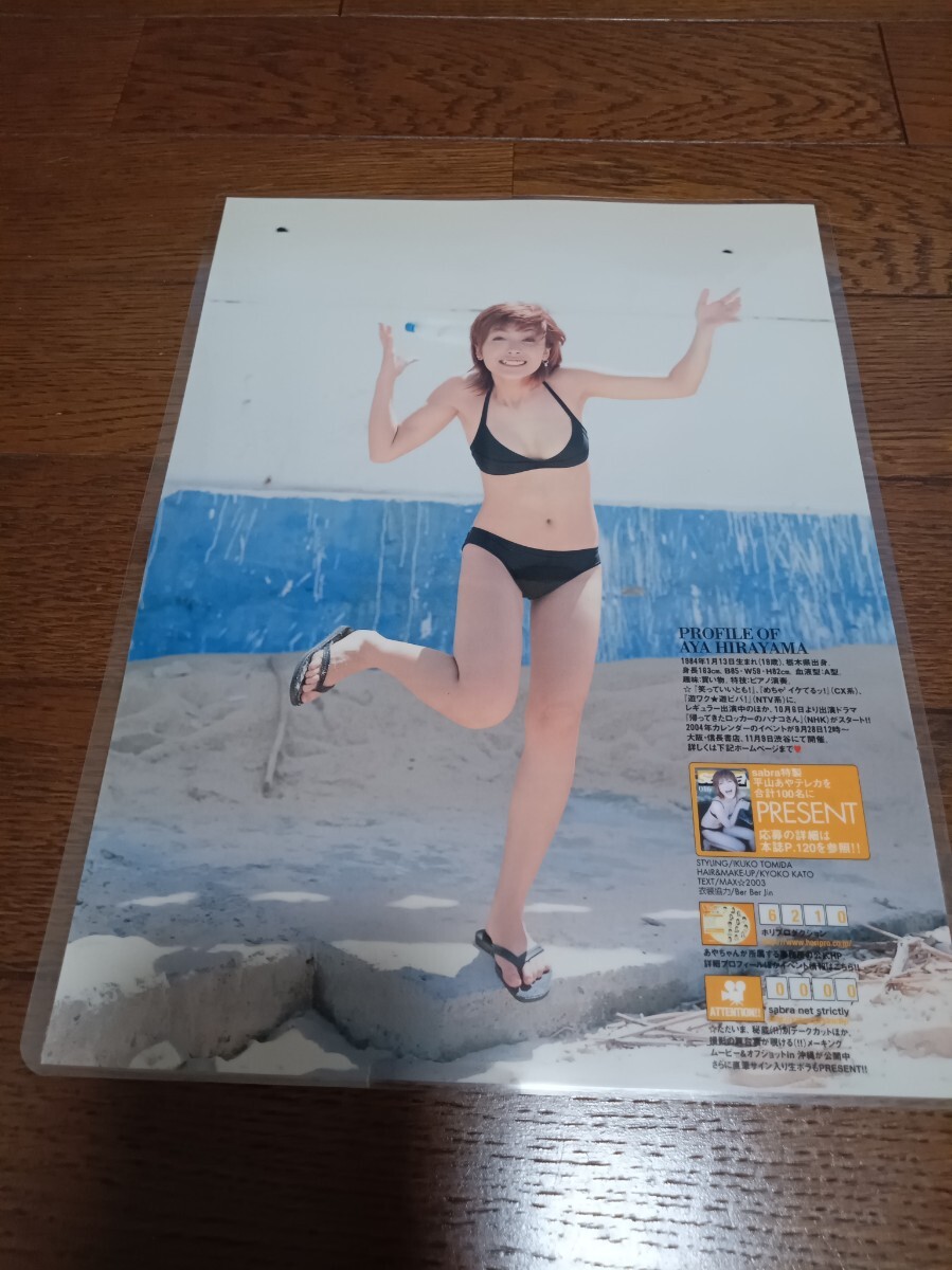 平山あや(1冊200円計算)49冊分172ページ切り抜きしファイリング済み 平山あや(1計算)49冊分172ページ切り抜きしファイリング済み 本