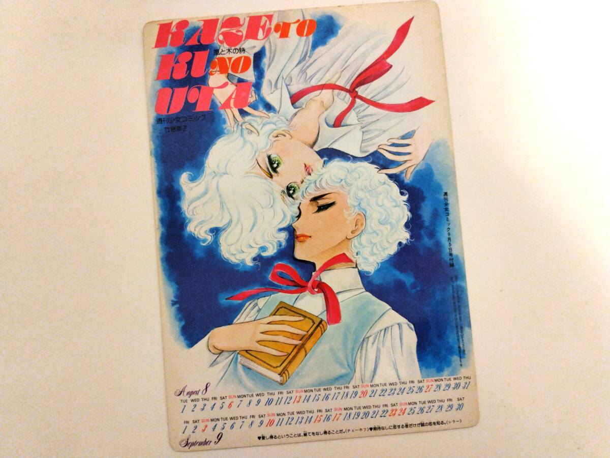 竹宮恵子 イラスト多数掲載 絵コンテ集 風と木の詩 竹宮惠子