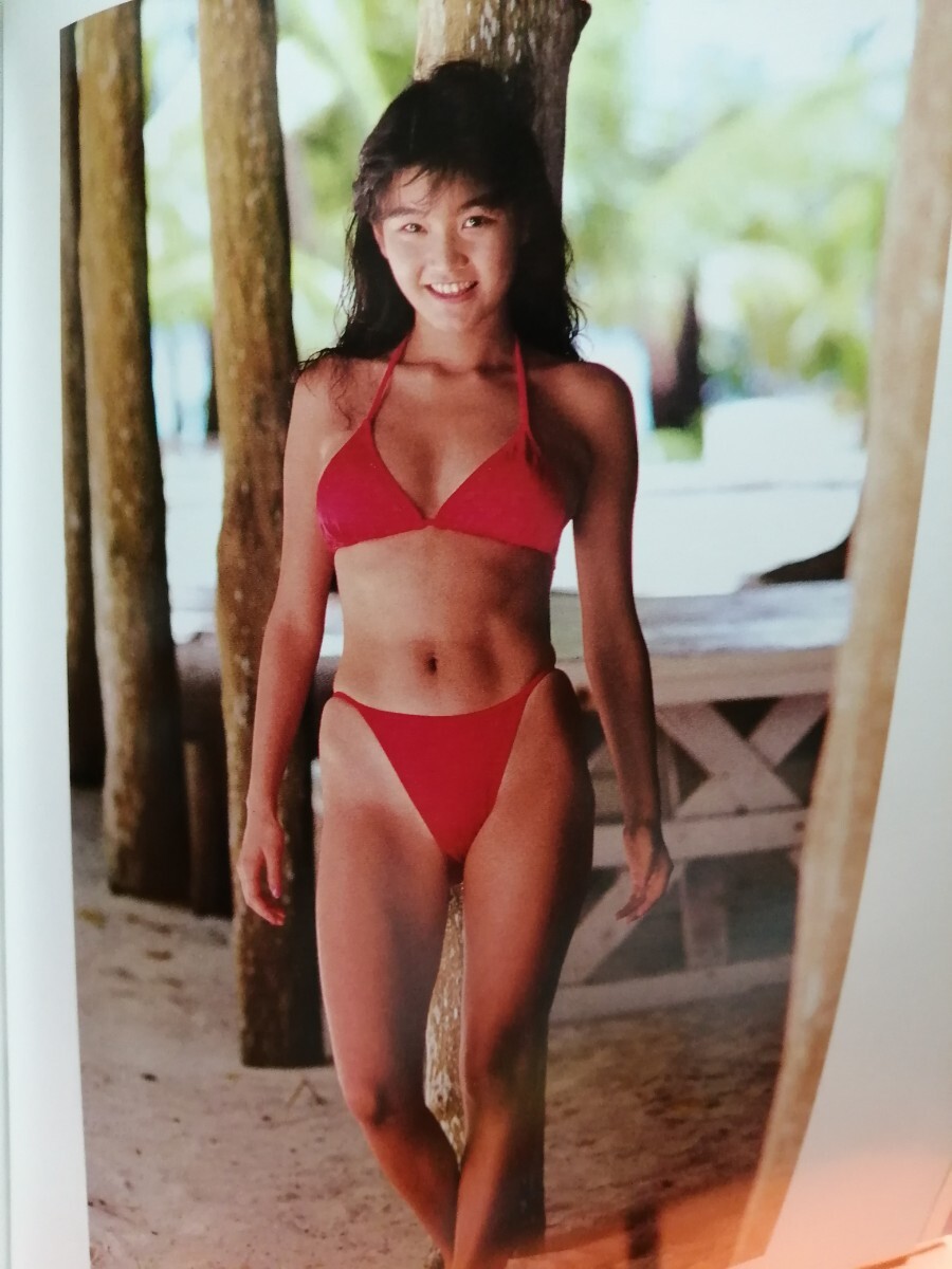 ☆新井由美子☆貴重4P☆当時物切り抜き☆No.7710☆の落札情報