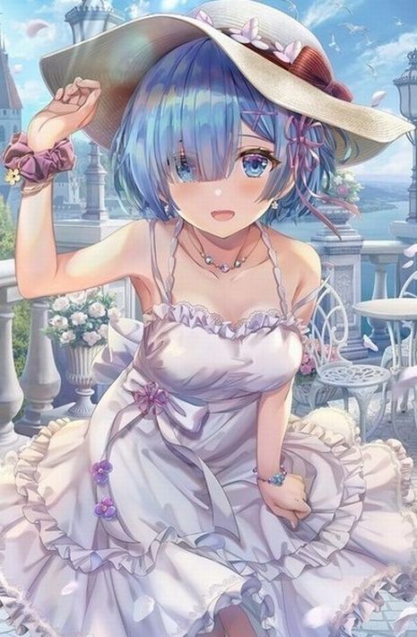 未使用】[ 新品未開封品 送料無料 ] hololive ホロライブ torikago
