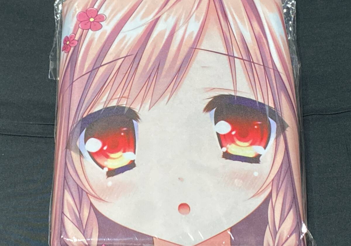 タユタマ 泉戸ましろ 直筆サイン入り 額装 複製原画 力丸乃りこ キャラアニ