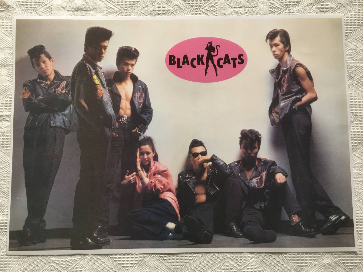 CREAMSODA 50周年 /Dearest Cream SodaライブDVD 希少/DVD/BOX＋写真集