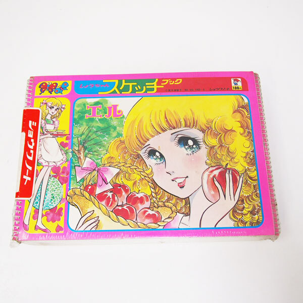 希少 レア 当時物 昭和レトロ ショウワのきせかえ 小公女セーラ 世界