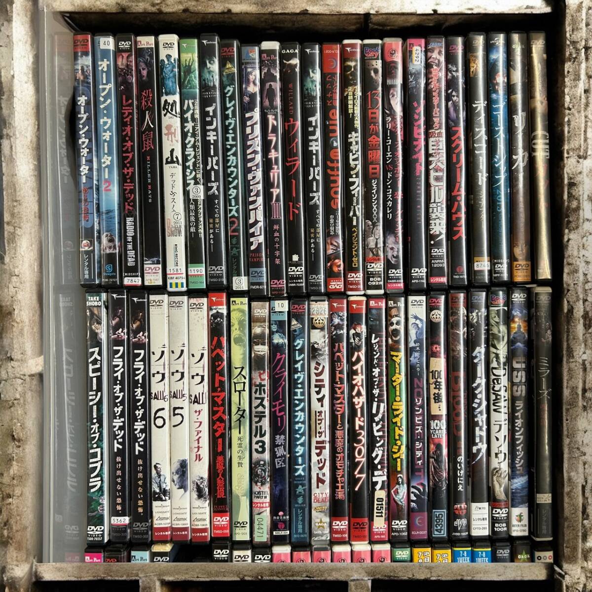 スプラッターカーニバル 初回限定プレミアムDVD- BOX【人間解剖島