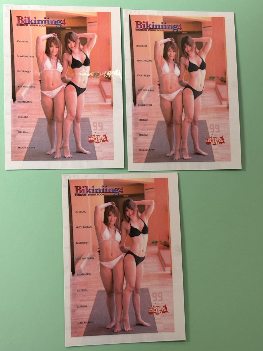 目立った傷や汚れなし】スターダムプロレス写真集 ビギニング4 宝城