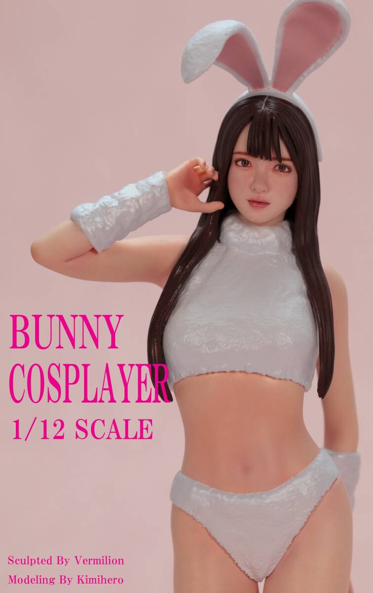 未使用に近い】ハセガワ 1/12スケールリアルフィギュアコレクション