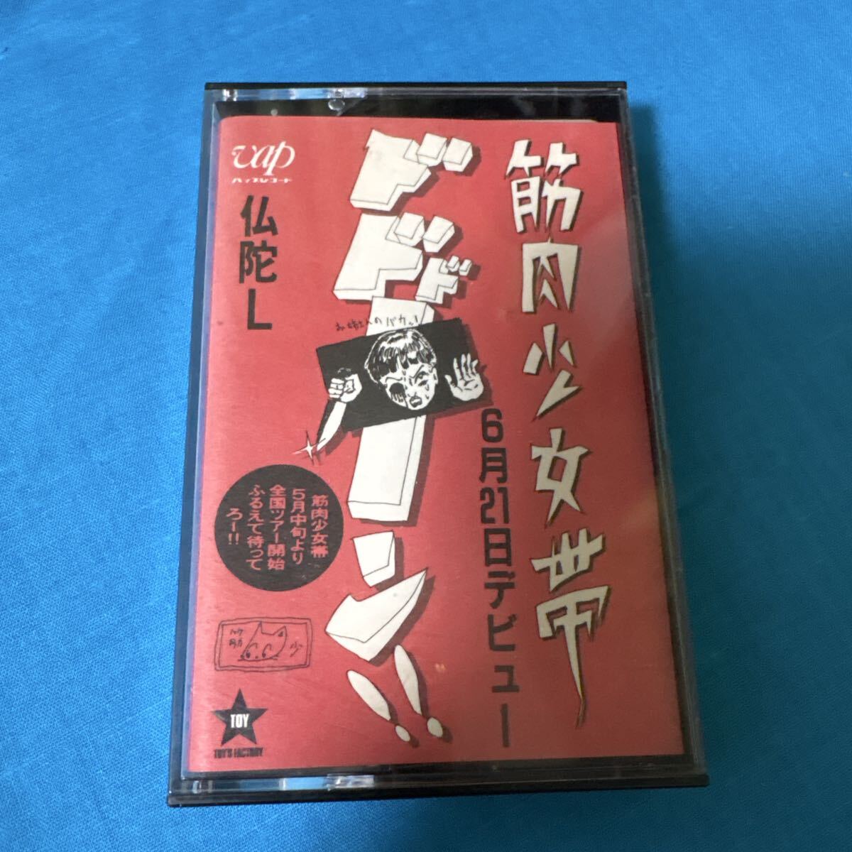 筋肉少女帯 大槻ケンヂ 橘高文彦 切り抜き 100P ② ☆貴重！ほぼページ