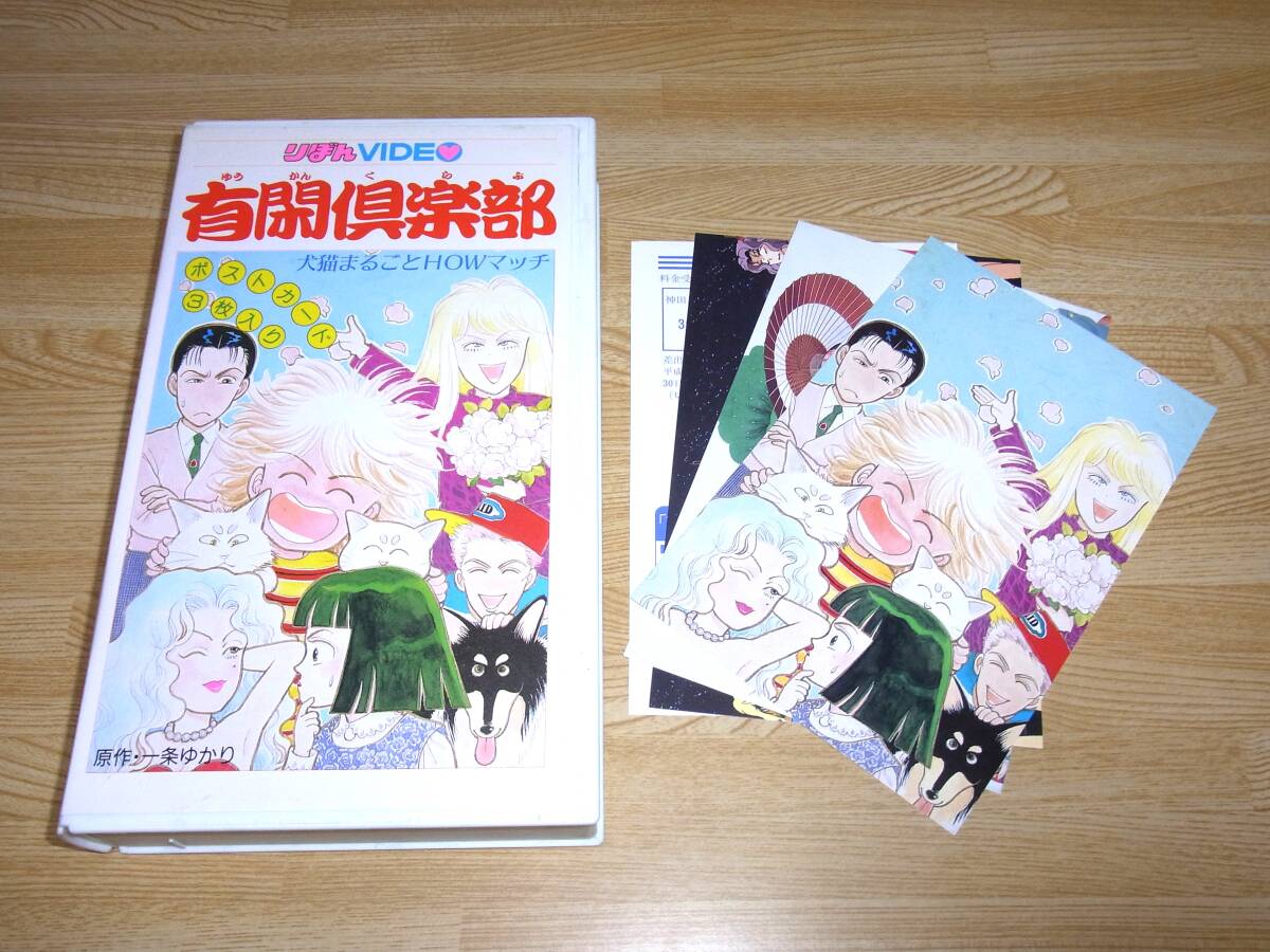せんぼんまつばら VHS 出崎哲 四分一節子 佐々木望 文部省選定作品の 