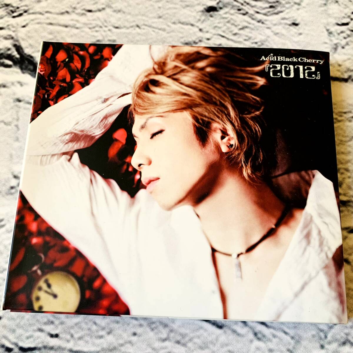 acid black cherry yasu 写真集 Amazon.co.jp: acid black cherry yasu 写真集 : おもちゃ
