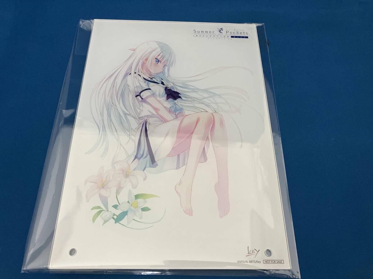 セット/BLUE REFLECTION/受注生産/白井日菜子/リフレクター/等身大