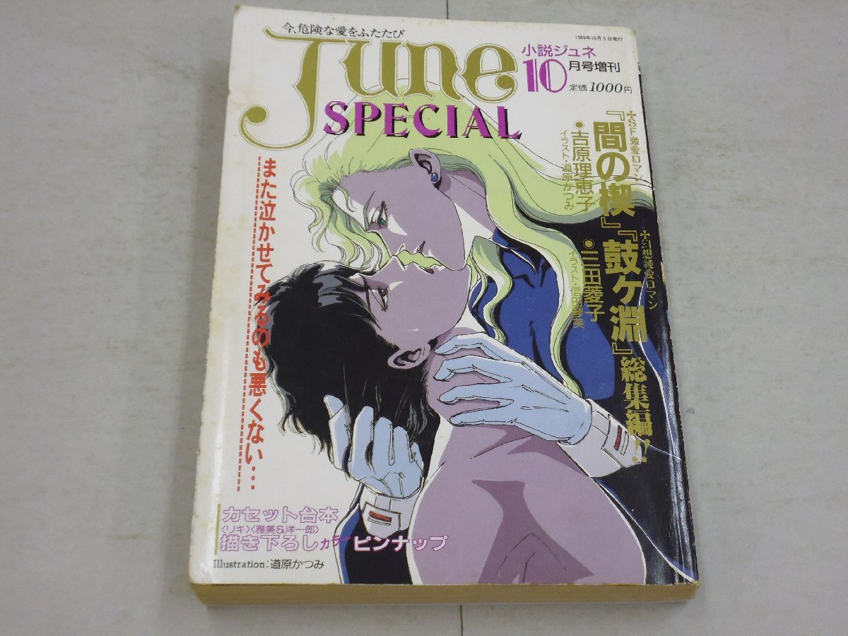 JUNE 全集　2巻　吉原理恵子　絶版初版 间の楔（吉原理恵子による小説）_百度百科