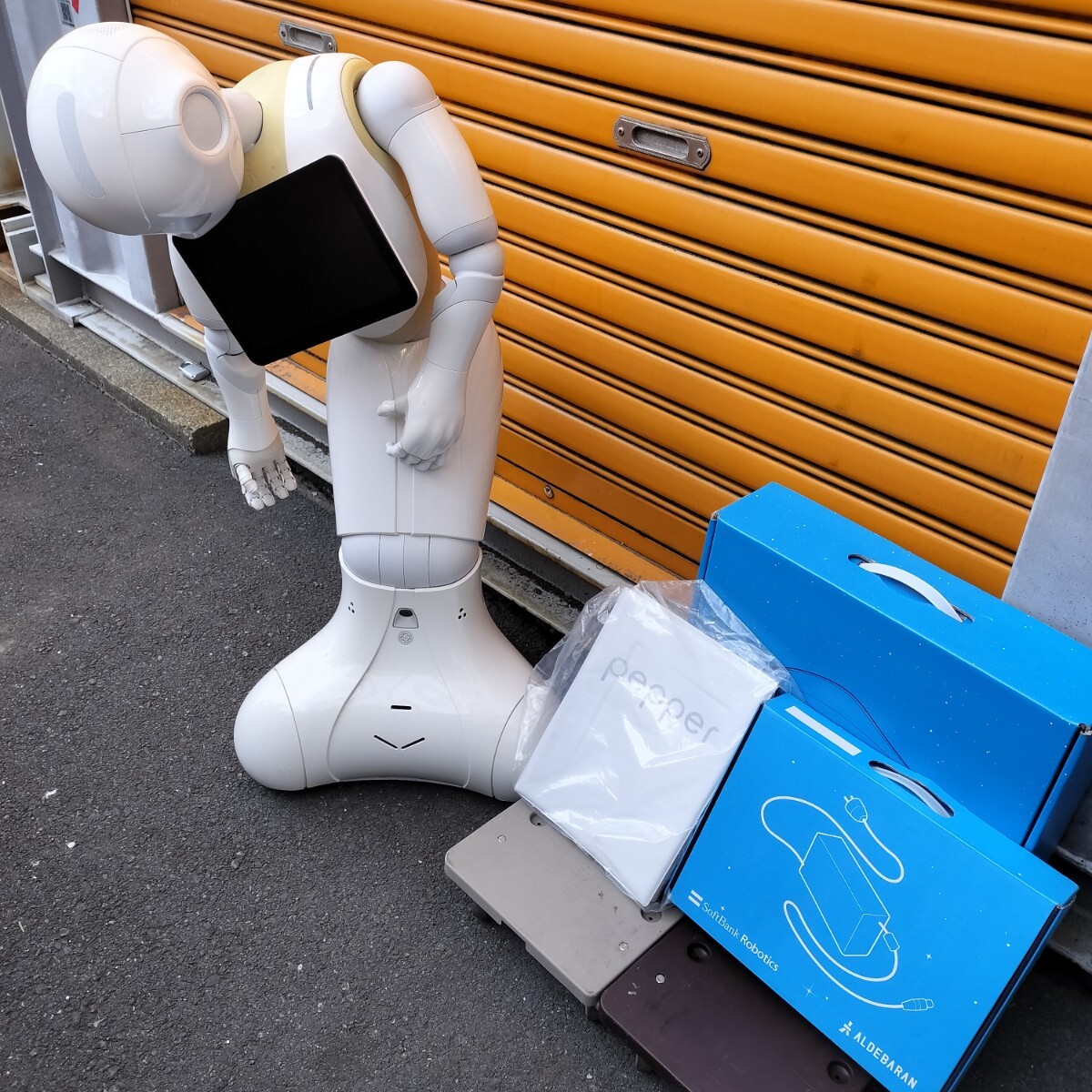 中古】 Softbank ソフトバンク ロボット Pepper ペッパー君 一般販売