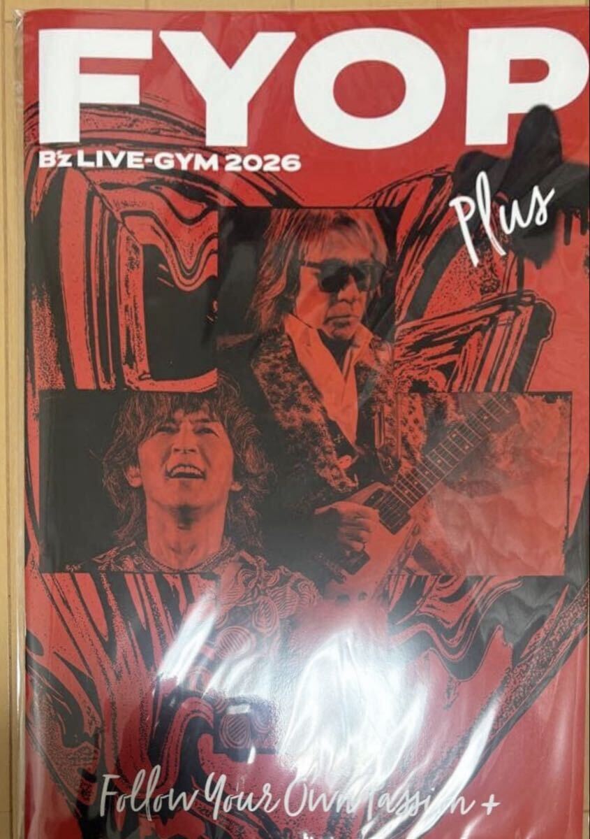 中古】B'z初期90年代の完全限定版パンフレット 稲葉浩志/松本孝弘 の