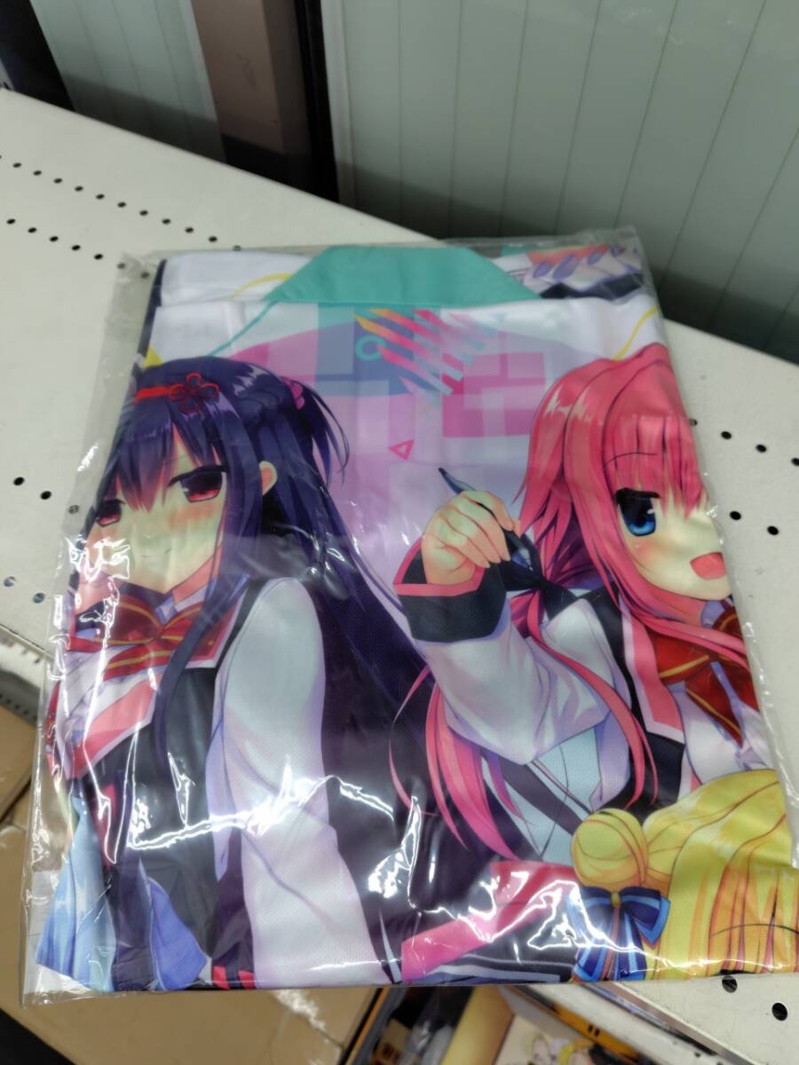 新品】ハミダシクリエイティブ WスエードB2タペストリー 和泉妃愛の