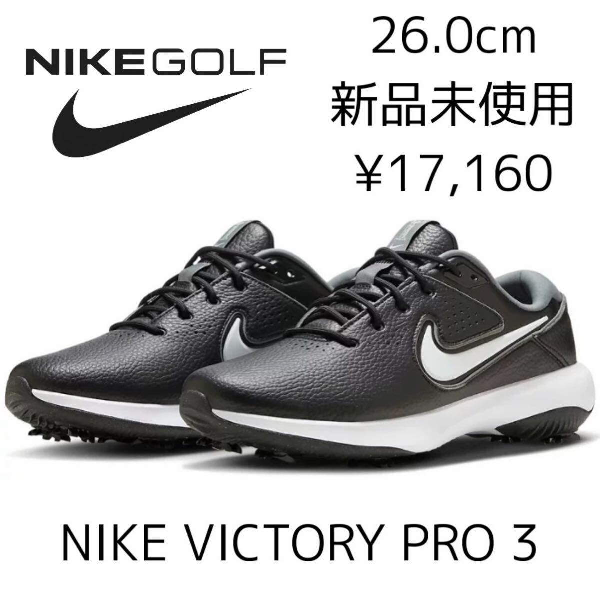 NIKE GOLF DUNK NG SL メンズ ゴルフシューズ 25cm ナイキ ゴルフ