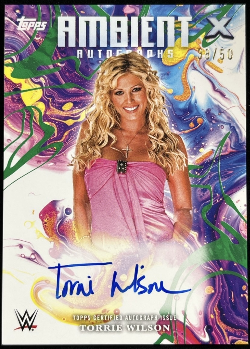 DVDケース『Torrie Wilson用』DIVA WCW WWE Sable Trish Stacy トリー